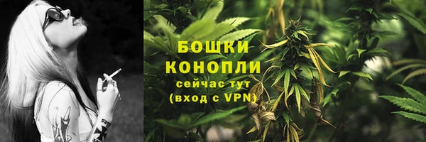 дмт Ростов