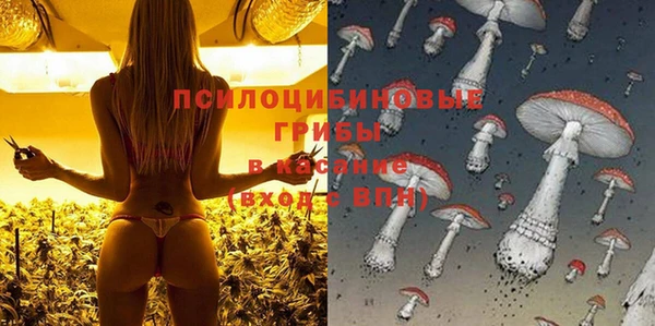 эйфоретик Алзамай