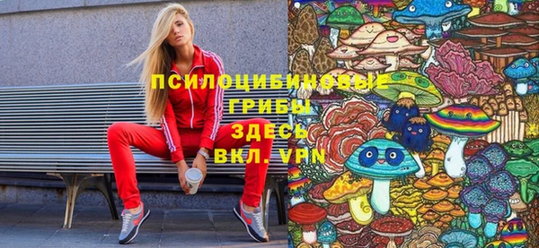 эйфоретик Алзамай